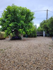 Maisons de vacances LES VOLETS BLEUS : photos des chambres