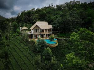 Tea & Tranquility by Moksha Stays
