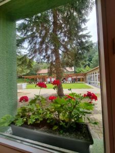 Zöldsziget Menedék, Rendezvény-és pihenőház