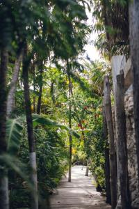 Uman Glamping & Cenote Tulum