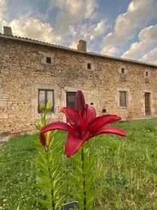 Le Papillon - Charroux