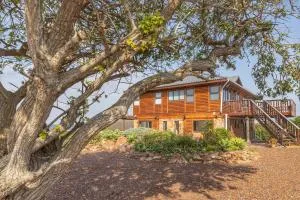 Stylish and With Stunning Sea Views - Кейп-Сен-Франсіс