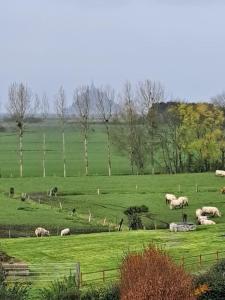 Maisons de vacances Le Nature : photos des chambres