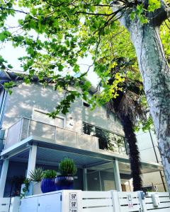 Lupicante 56 Cesenatico