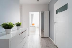 New apart near Sky Tower - Gwiazdzista