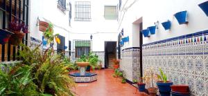 La casa del patio en pleno San Lorenzo