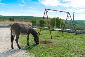 Dalmatian country house Irena 