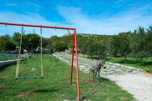 Dalmatian country house Irena