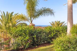 Alzaro 02 DELUXE SEA VIEW 2B