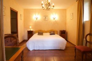 Hotels Chateau de Salles : photos des chambres