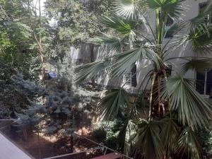 Orion Central Apartment