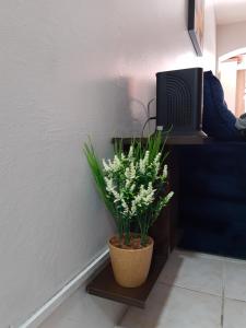 Apartamento com pátio e anexo exclusivo