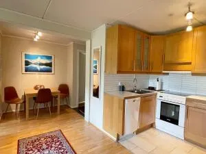 Actif 329 - apartment by Ål skisenter - Skarsgård