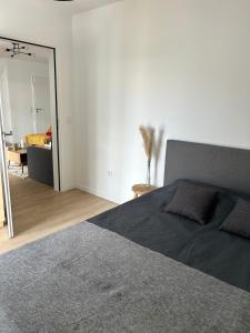 Appartements Luxueux & moderne appartement - proximite metro : photos des chambres