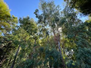 Chambre Simple Standard - Vue sur Mer