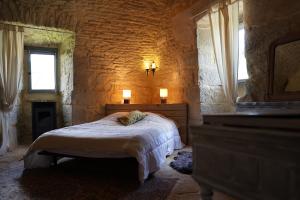 Maisons de vacances Chateau de St Chamarand - Grand & Petit Gites : photos des chambres