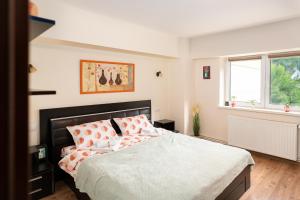 Metropolitan Wildscape View