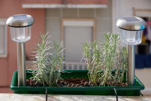 Bright and quiet apartment