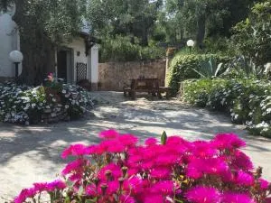 Azienda Agricola B&B Macchiaria - 普格诺奇乌索