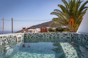 Theophrasti Suites