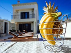 Dalmatian Villa Castello Coza with pool, Vinjerac 