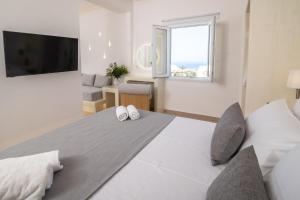 Theophrasti Suites
