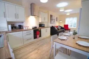 Newly refurbished village flat - Cullybackey
