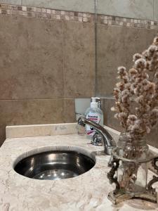 Luminoso departamento céntrico