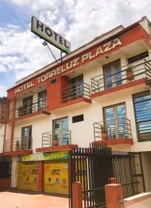 HOTEL TORRELUZ PLAZA - Piendamó