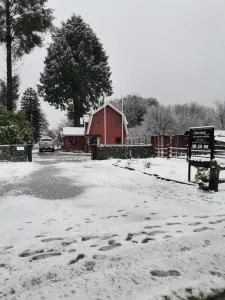 Cabaña Rossbach Puyuhuapi - Idahue