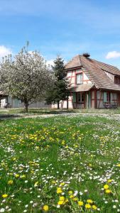 Hotels Les Loges de l'Ecomusee D'Alsace : photos des chambres