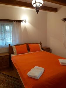 Casa de vacanta Padis