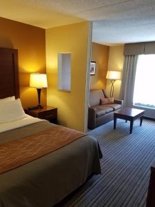 Queen Room with Sofa Bed room in Comfort Inn at the Park