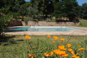Appartements Le Pre Lilas : photos des chambres