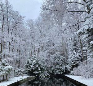 Prachtige chalet in het bos met sauna!
