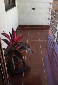 Bonita casa acogedora