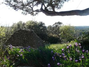 B&B / Chambres d'hotes Mas de charme au calme en pleine garrigue : photos des chambres