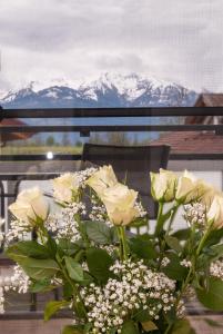 Sun Valley Apartments
