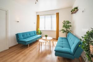 Large Antwerp City Center Apartments