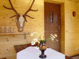 Brīvdienu māja Saulīte