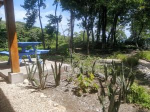 La casa del Artesano !Casa completa frente al mar!