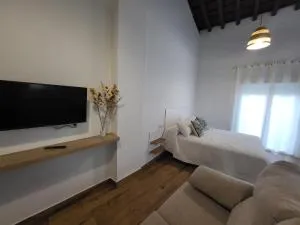 Apartamento La Albariza - Jerez de la Frontera