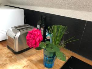 Appartements Le Coucou Rennais : photos des chambres