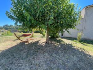 Maisons de vacances Sous les etoiles en Provence, gites les bambous et les grands chenes : photos des chambres