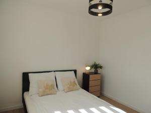 New House White near Targi Kielce