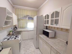 Apartment in Balatonszemes 45329