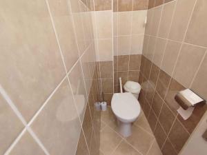 Apartment in Balatonszemes 45329