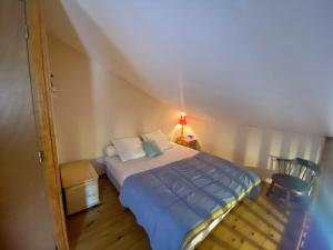 Chalet cosy 55m², 8 pers, garage, prox. pistes, animaux admis - FR-1-758-6