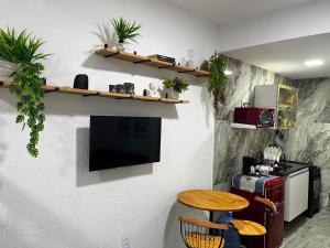 Meu Loft Barra Nova 3