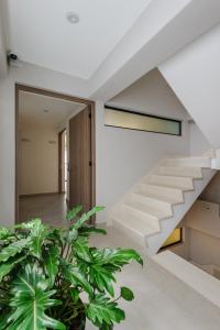 Choapan 28 - Lux Apartments in Condesa